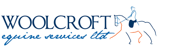 A blue and orange logo

Description automatically generated
